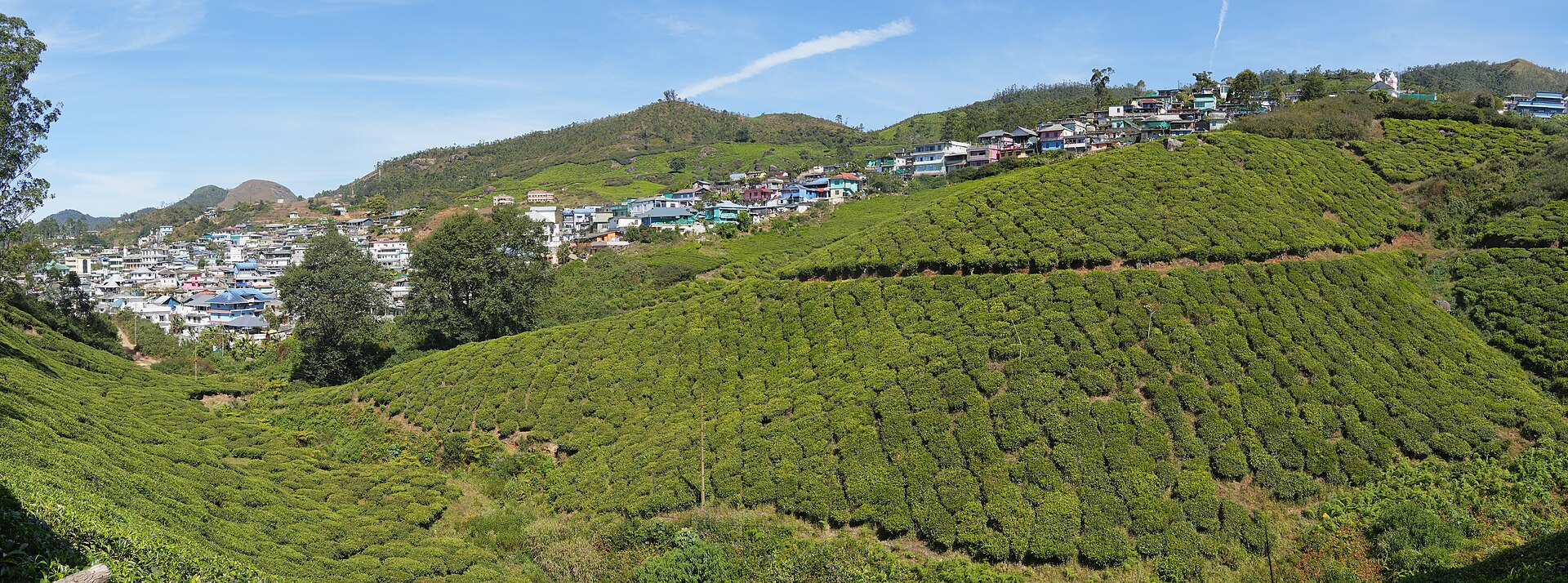Rolling tea gardens of Munnar